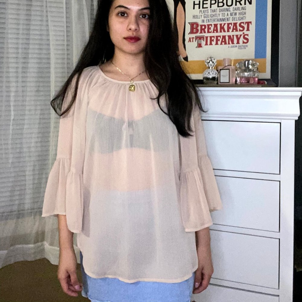 Pink Chiffon Top - Picture 4 of 6